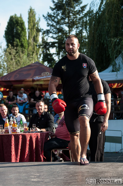 Yangame�s Fight Night