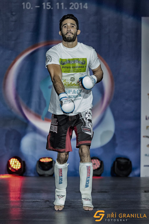 Mistrovstv� sv�ta WKF 2014