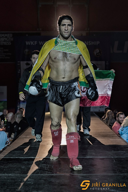 Mistrovstv� sv�ta WKF 2014