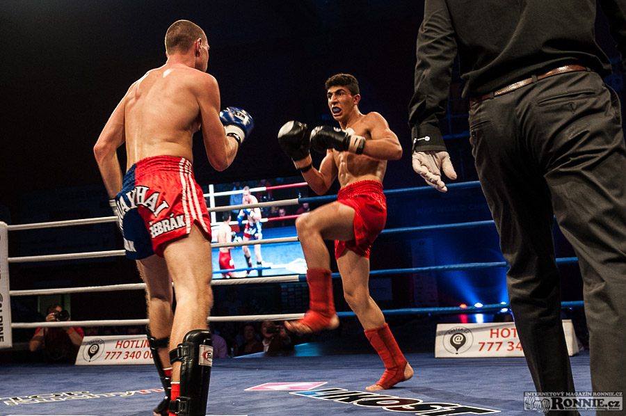 Mistrovstv� sv�ta WKF 2014