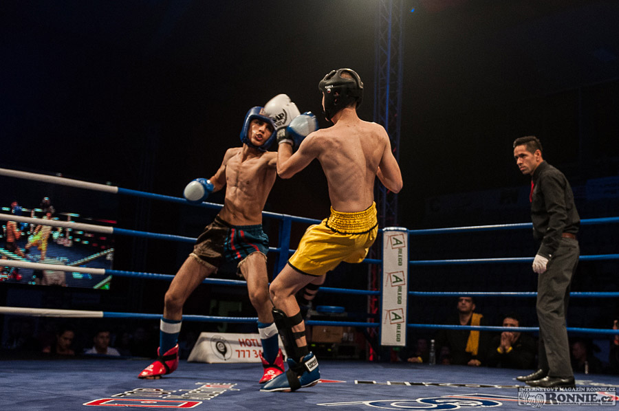 Mistrovstv� sv�ta WKF 2014