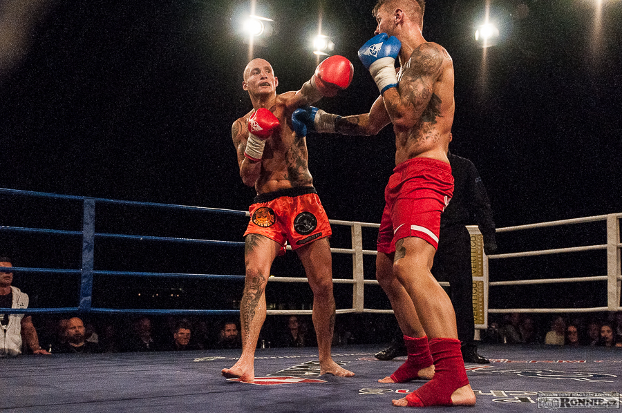 Yangame�s Fight Night 3�