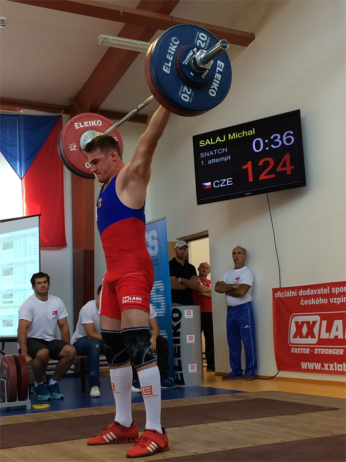 Michal Salaj