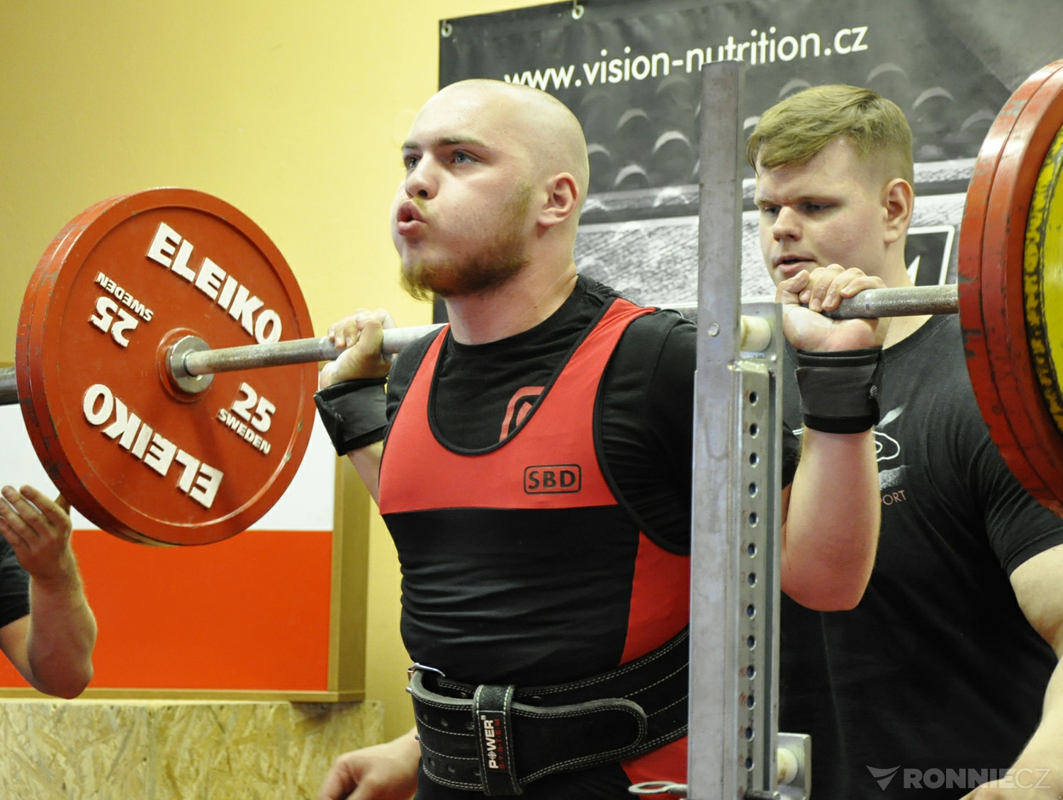 Vision Nutrition RAW 2019
