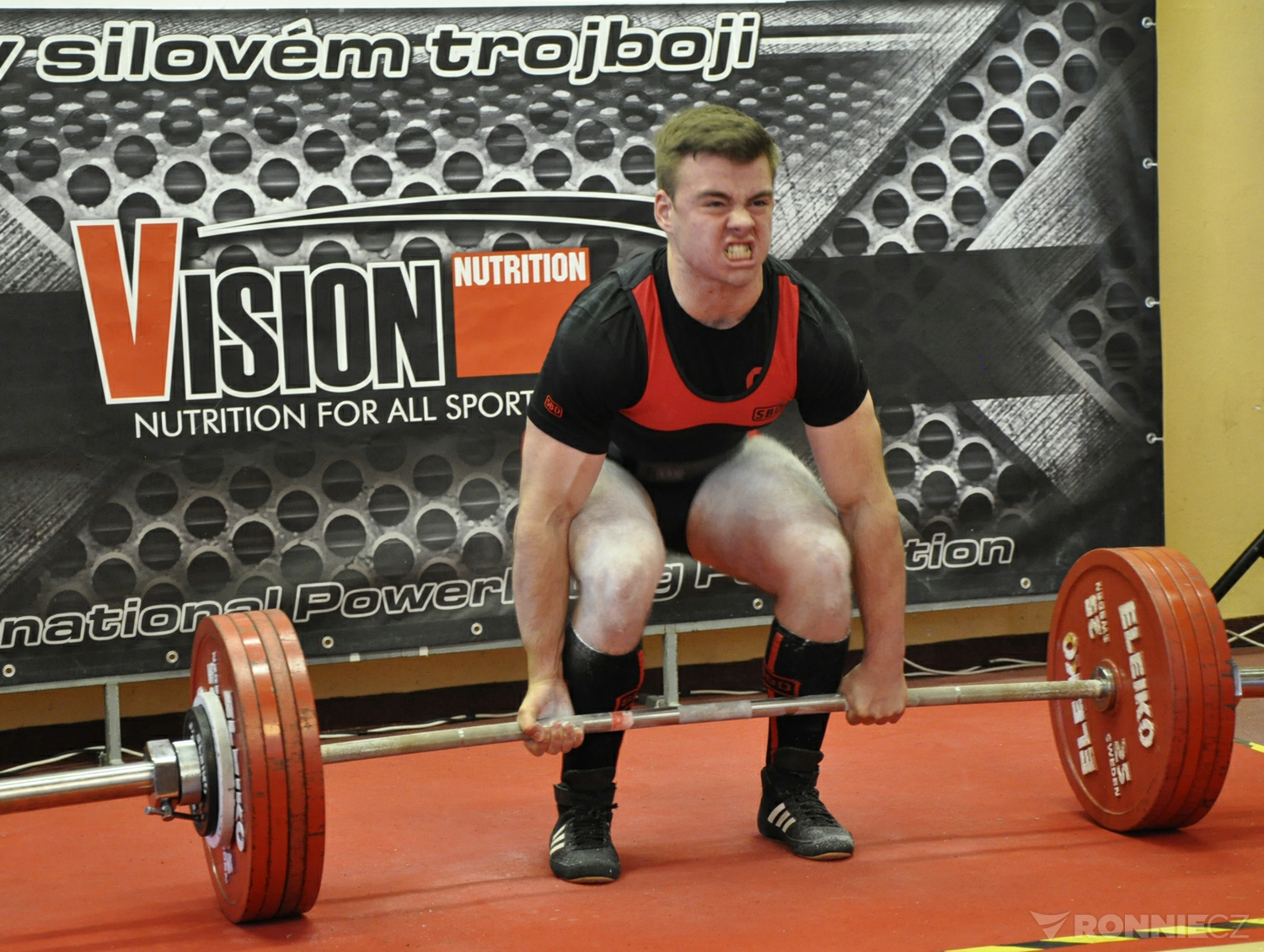Vision Nutrition RAW 2019