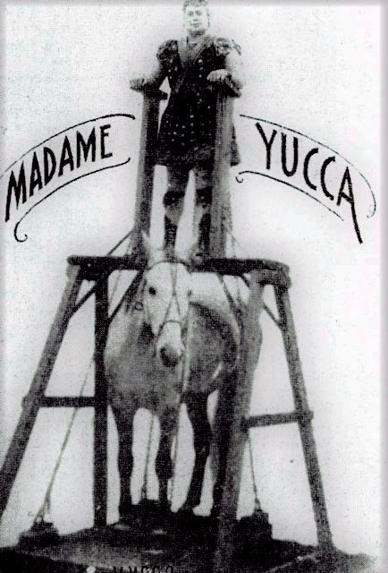 "Madamme Yucca" - Mary Uller